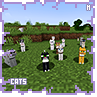 catsmaster